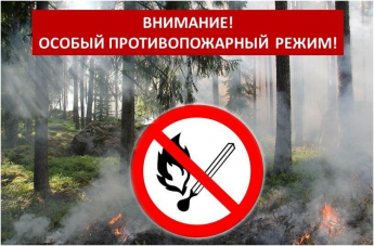 На всей территории Республики Алтай введён особый противопожарный режим!